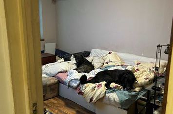 Aparatorii Patriei 2 camere centrala proprie anunturi imobiliare Bucuresti