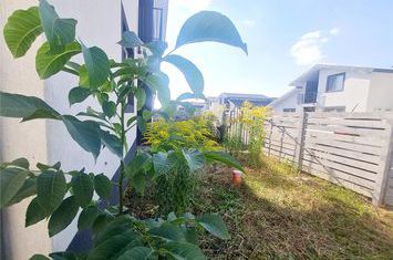 Casă - 5 camere de vanzare EXTERIOR EST - Brasov anunturi imobiliare Brasov