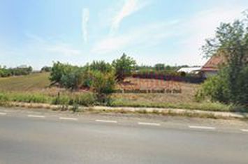 Teren intravilan 5000 mp Tamadau Mare – deschidere 35 metri la DN3 anunturi imobiliare Calarasi