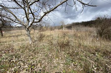 Teren de vanzare ZALAU - Salaj anunturi imobiliare Salaj