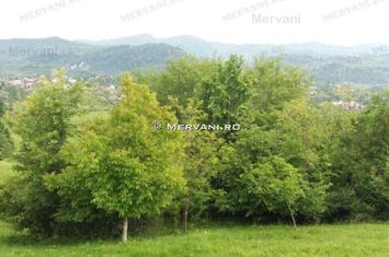 Teren de vanzare in Campina (zona Voila) anunturi imobiliare Prahova