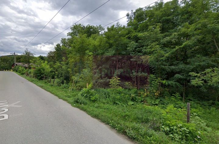 De vanzare Teren intravilan in Provita anunturi imobiliare Prahova