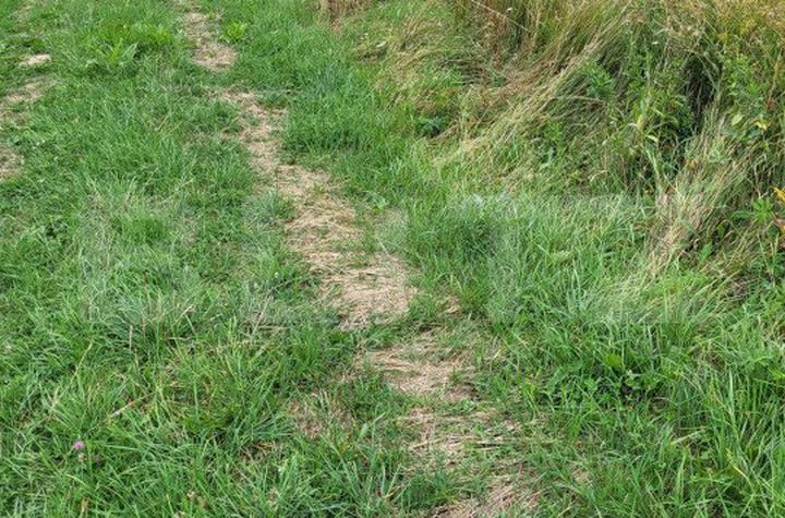 Teren de vanzare SUCEAVA - Suceava anunturi imobiliare Suceava