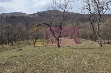 Teren intravilan 2200 mp de vanzare in Valea Doftanei anunturi imobiliare Prahova