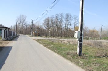 Domnesti-Ciocarliei-Salciei STRADAL anunturi imobiliare Bucuresti