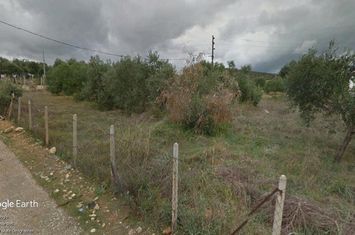 Teren construibil 6960 mp în Potos, Thassos anunturi imobiliare Grecia