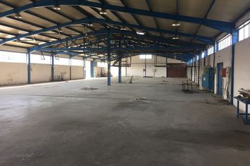 Spațiu industrial 1.600 mp în Λευκώνας Κέντρο anunturi imobiliare Grecia