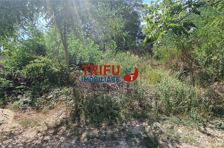 Teren Intravilan de vanzare CETATE - Alba anunturi imobiliare Alba