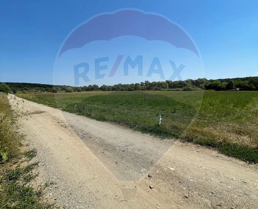 Teren Intravilan Nord, 5000 mp