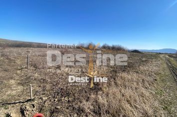 Teren de vanzare PIATRA-NEAMT - Neamt anunturi imobiliare Neamt