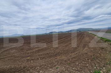 Teren de vanzare HARMAN - Brasov anunturi imobiliare Brasov