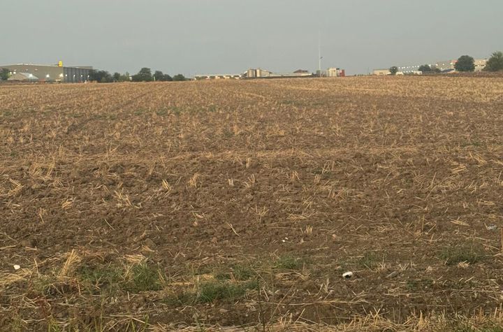 Vand teren intravilan Branesti 2500 mp, pret 70 euro/mp anunturi imobiliare Bucuresti