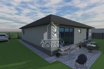 Casa individuala pe parter, 4 camere si 2 bai, 530 mp teren anunturi imobiliare Timis