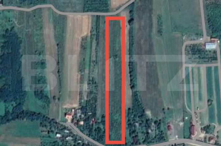 Teren de vanzare VIILE SATU MARE - Satu Mare anunturi imobiliare Satu Mare