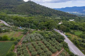 Teren construibil 750 mp în Mesoropi, Kavala anunturi imobiliare Grecia
