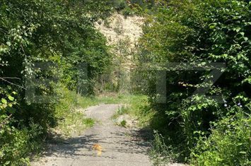 Teren de vanzare BACIU - Cluj anunturi imobiliare Cluj