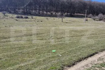 Teren de vanzare CODLEA - Brasov anunturi imobiliare Brasov