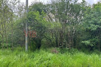 Dragomiresti Deal – Strada Pinului anunturi imobiliare Bucuresti