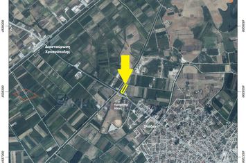 Teren construibil 4.600 mp, intrare Chrysoupoli Nestos anunturi imobiliare Grecia