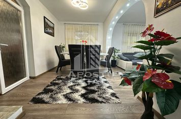 Casa individuala, 5 camere, P+M, Utvin anunturi imobiliare Timis