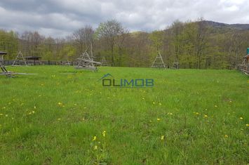 Teren de vanzare VALEA DOFTANEI - Prahova anunturi imobiliare Prahova