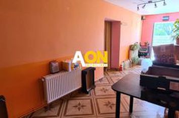 Vila pretabila pensiune + restaurant,  10 camere,  1000MP teren anunturi imobiliare Alba