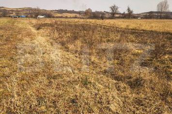 Teren de vanzare SATU MARE - Satu Mare anunturi imobiliare Satu Mare