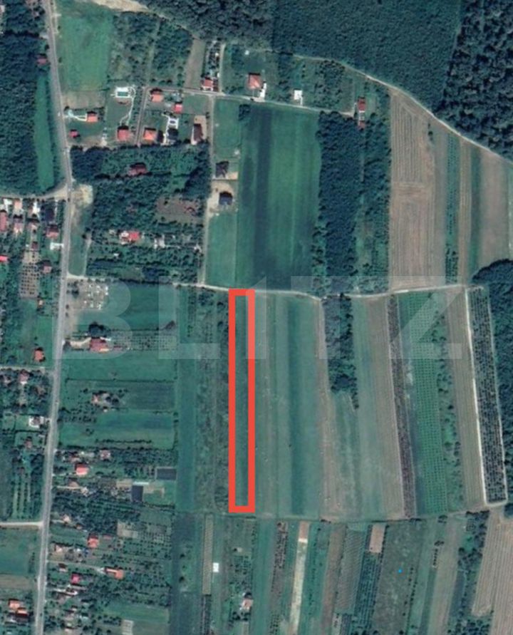 Teren de vanzare VIILE SATU MARE - Satu Mare anunturi imobiliare Satu Mare