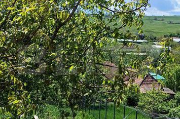 Vilă - 3 camere de vanzare COPACENI - Cluj anunturi imobiliare Cluj