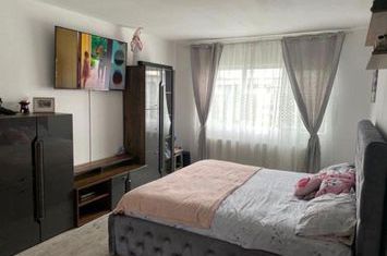 Apartament 2 camere de vanzare BRAZDA LUI NOVAC - Dolj anunturi imobiliare Dolj
