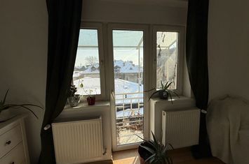 Vanzare apartament renovat doua camere vila anvelopata termic Cotroceni Botanica anunturi imobiliare Bucuresti