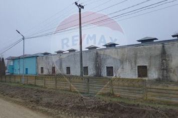 Hală pentru depozitare anunturi imobiliare Iasi