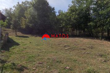 Teren Intravilan de vanzare POIANA CAMPINA - Prahova anunturi imobiliare Prahova