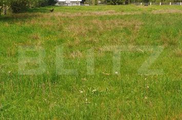 Teren de vanzare VATRA DORNEI - Suceava anunturi imobiliare Suceava