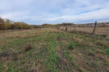 Teren de vanzare BALESTI - Gorj anunturi imobiliare Gorj