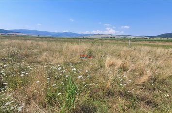 Teren Intravilan de vanzare BARABANT - Alba anunturi imobiliare Alba