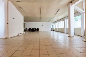Spațiu comercial de inchiriat DACIA - Constanta anunturi imobiliare Constanta