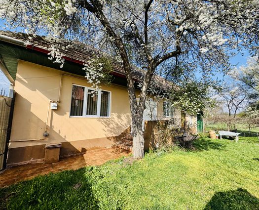 Casă 2 cam Vad, 65 mp