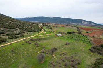 Teren construibil 5.500 mp în Xiropotamos, Drama anunturi imobiliare Grecia