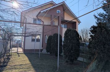 Vilă - 4 camere de vanzare HEMEIUS - Bacau anunturi imobiliare Bacau