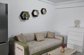 Apartament de inchiriat 2 camere Copou Garden anunturi imobiliare Iasi
