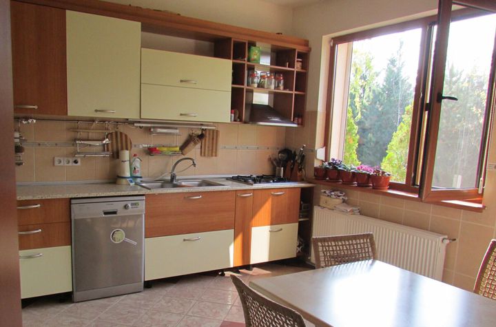 SNAGOV vila foarte spatioasa, curte amenajata, garaj, panouri fotovoltaice anunturi imobiliare Bucuresti