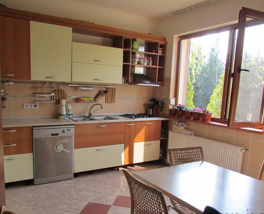 Vilă 6 cam Snagov, 264 mp, P+1