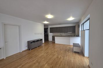HERASTRAU SOSEAUA NORDULUI  APARTAMENT SPATIOS TERASA 17 MP anunturi imobiliare Bucuresti