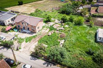 Loc de casa de 539 mp în Vladimirescu anunturi imobiliare Arad