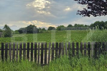 Teren de vanzare SUCEAVA - Suceava anunturi imobiliare Suceava