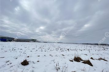 Teren Intravilan de vanzare VEST - Sibiu anunturi imobiliare Sibiu