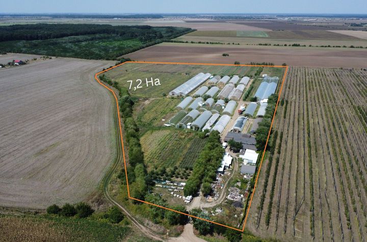 Ferma Legume Petrachioaia Teren 7.2 HA anunturi imobiliare Bucuresti