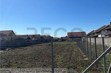 Teren Intravilan de vanzare SANTANDREI  - Bihor anunturi imobiliare Bihor