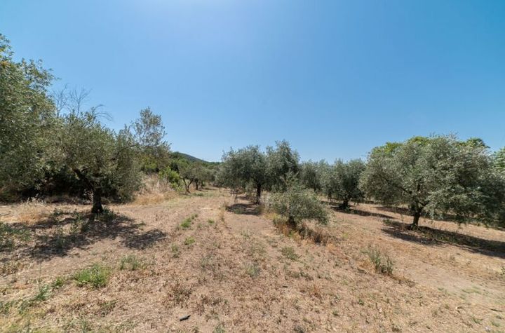Teren 1937 mp în Agios Andreas (Kavala) anunturi imobiliare Grecia